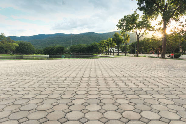 Best Permeable Paver Driveway  in West Livingston, TX